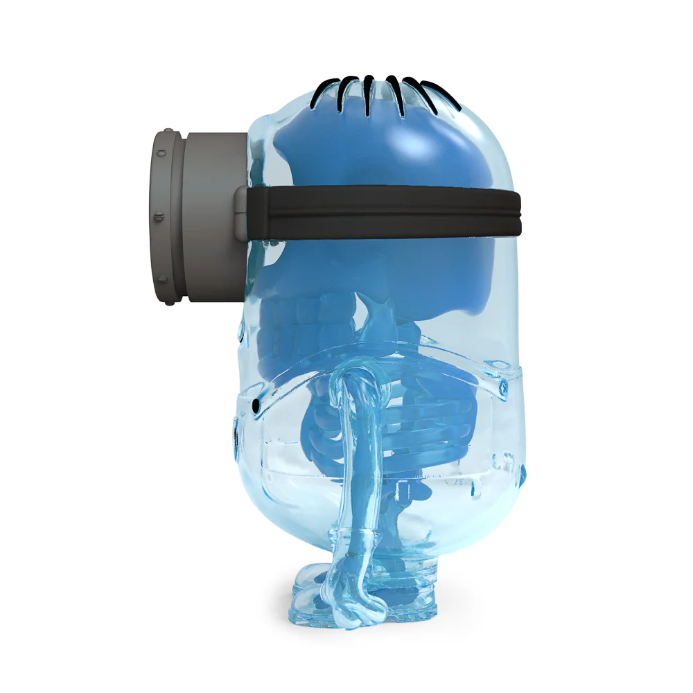 Despicable Me 4 - Minion Anatomy 8" Art Figure - GID X-ray AVL Edition (Limited Edition of 300) - Image 14