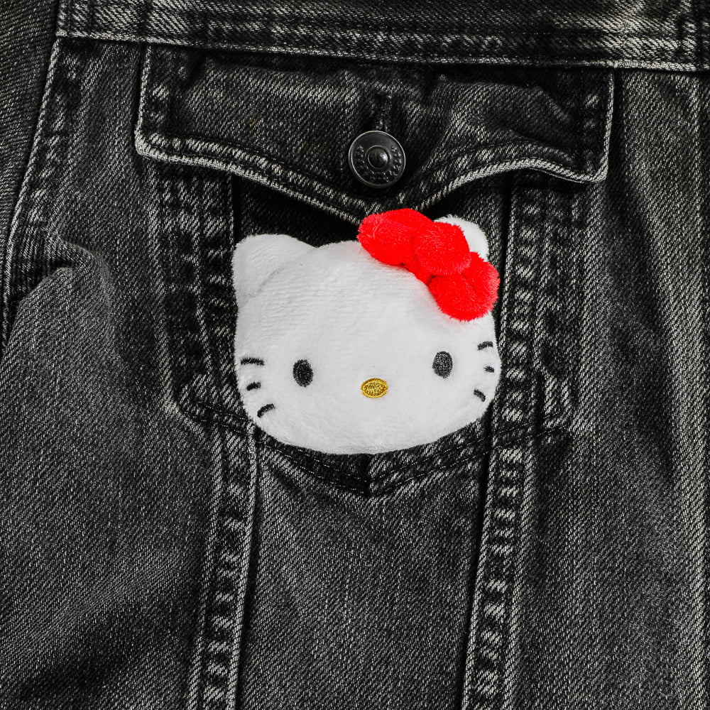 Hello Kitty® and Friends - Plush Pin 4-Pack Bundle (FIRST LOOK) - Image 3